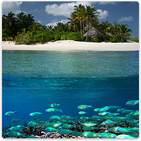 Traumhaft Über- und Unterwasser insel, fische, meer